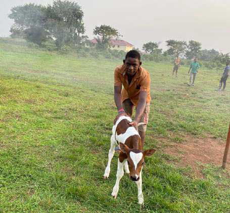 Schüler*innen lernen Tierhaltung in Nakaziba