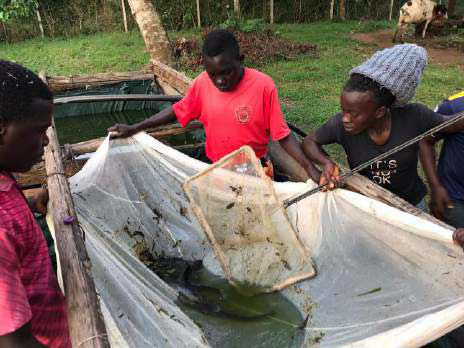 Unsere Fischzucht in Nakaziba