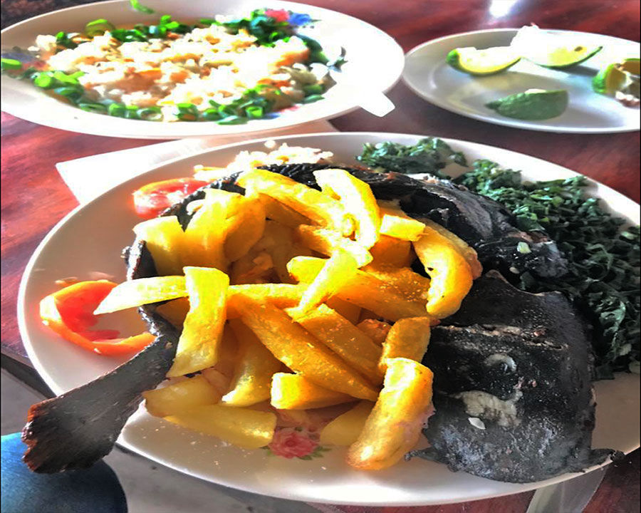 Gebratener Catfish, auch Afrikanischer Wels genannt, mit Pommes, Blattspinat und Krautsalat.