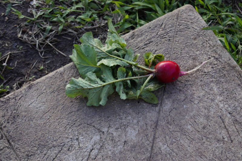 2012 - Unser 4. Aufenthalt