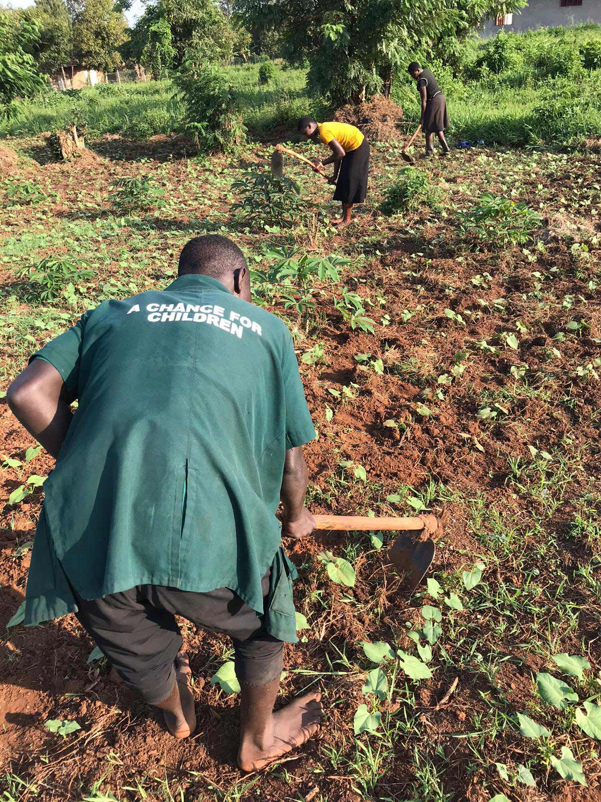 Farmwork