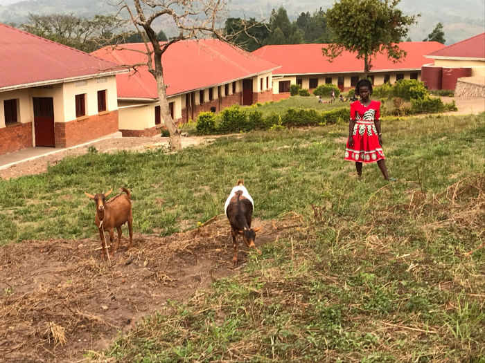 Kindern eine Chance - Unsere Projekte wachsen... Diese Fotos zeigen Neues aus Kalangalo und Busunju 