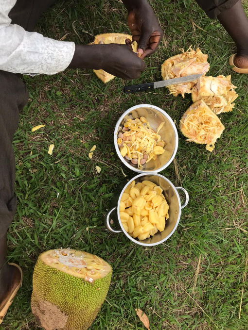 Ich kaufte nur eine kleine, die dann zerlegt wurde. Hier in Uganda isst man nur das Fruchtfleisch. In Asien auch die gerösteten Kerne. Die schmecken ganz ähnlich wie Kastanien.
