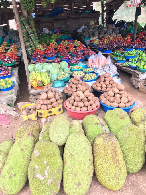 Kindern eine Chance: Jackfruit