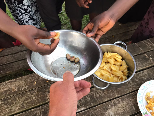 ...und noch schneller war die Schüssel mit den gerösteten Kernen leer. Mal schauen, ob die Mädchen die Kerne in Zukunft auch rösten anstatt sie einfach wegzuwerfen und nur das Fruchtfleisch essen.