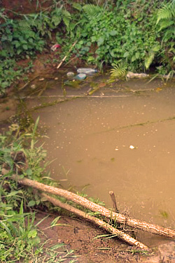 wasserbruehe
